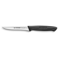 Ніж для стейків  Fischer 325-10/B1